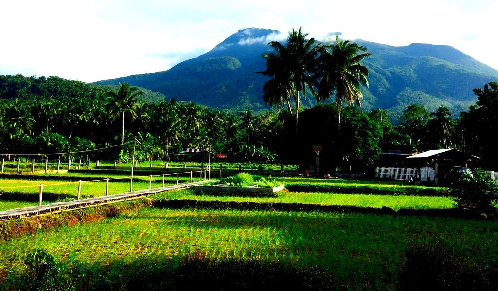 Guerrera Rice Paddy Villas Mambajao Exterior photo